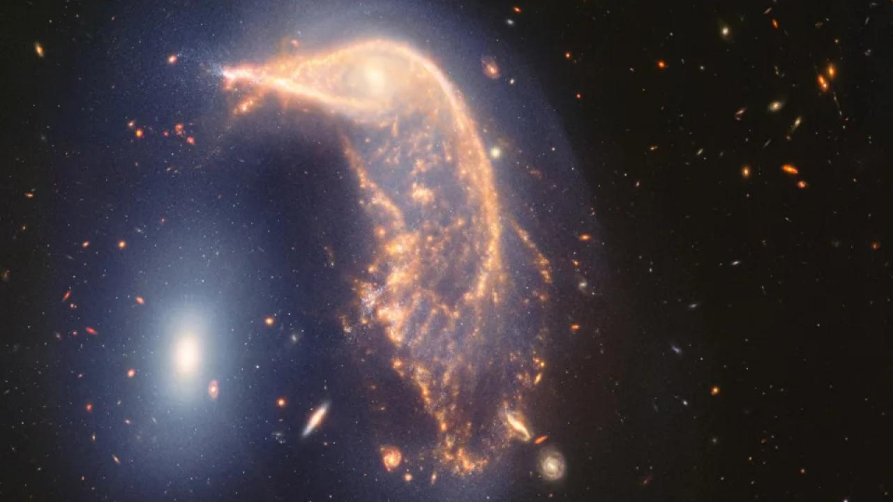 James Webb ikinci yılını kutluyor: Penguen ve yumurtaya benzeyen iki galaksi keşfetti!